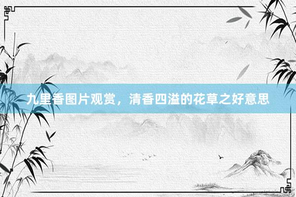 九里香图片观赏，清香四溢的花草之好意思
