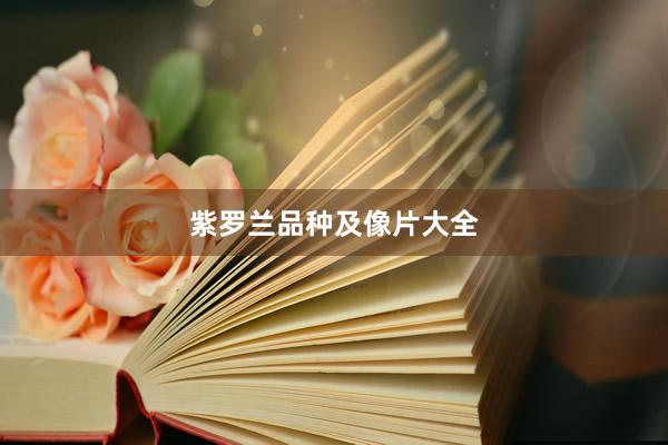 紫罗兰品种及像片大全